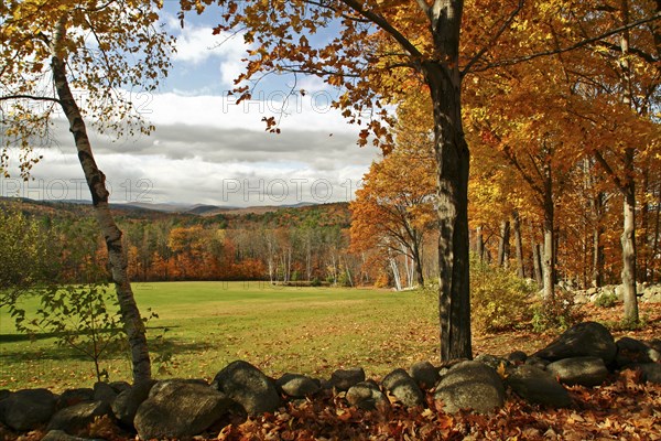 USA, New Hampshire, Meredith, Autumnal foliage