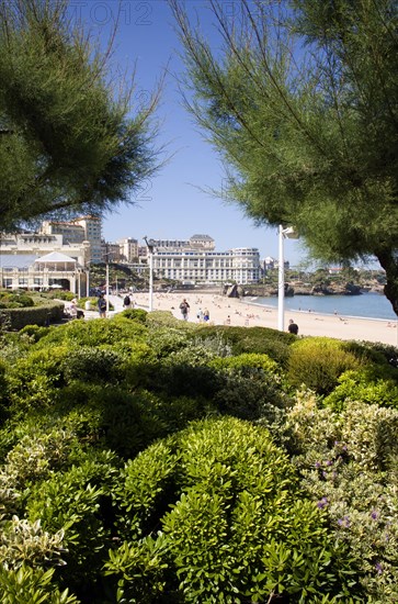 FRANCE, Aquitaine Pyrenees Atlantique, Biarritz, The Basque seaside resort on the Atlantic coast. The Grande Plage beach seen through tamarisk trees in the seafront gardens.