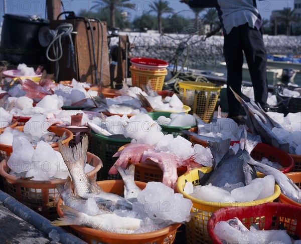 KUWAIT, Kuwait City, Dhow Harbour adjacent to the Sharq Souq with fresh fish on ice in coloured baskets in the foreground.