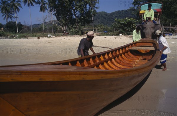 THAILAND, Krabi Province, Elephant launching newly built longtail boat.