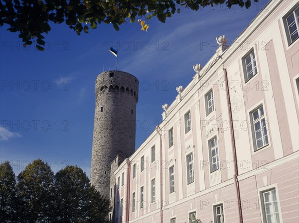 ESTONIA, Tallinn, Hermann Tower and Tallinn Castle part framed by tree branches.