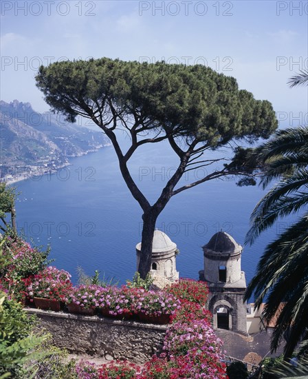 ITALY, Campania, Ravello, "Villa Rufolo, view from gardens over bay towards Maiori, Salerno with tree in foreground."
