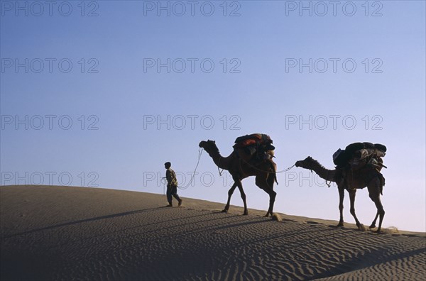 INDIA, Rajasthan, Thar Desert, Camel herder with loaded camels silhouetted against pale sky on ridge of sand dune with wind rippled sand in desert area near Jaisalmer.