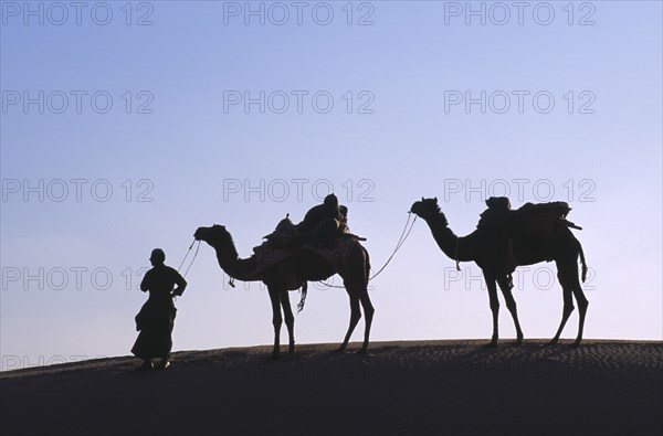 INDIA, Rajasthan, Thar Desert, Camel herder with loaded camels silhouetted against pale sky on ridge of sand dune near Jaisalmer.