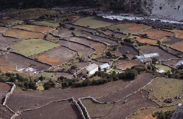 NEPAL, Khumbu Region, Pangboche, Crops and lifestock in patchwork of terraced fields and Sherpa houses.
