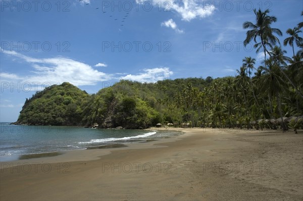 VENEZUELA, Sucre State, Playa Medina, View along a tropical beach.