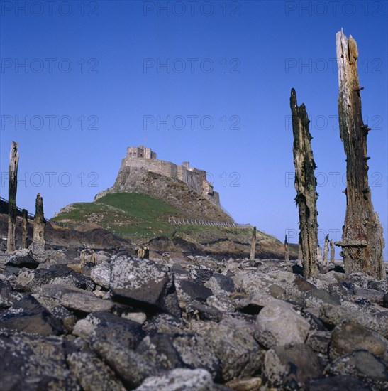 ENGLAND, Northumberland, Holy Island, Lindisfarne Castle with barnacle covered rocks and sea-worn timber posts in foreground.