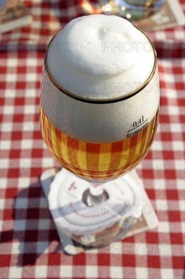 GERMANY, Drinks, Lager, German pilsner beer.