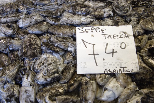 ITALY, Veneto, Venice, Squid in their ink for sale in the Pescheria fish market in the San polo and Santa Croce district beside the Rialto Bridge on the Grand Canal