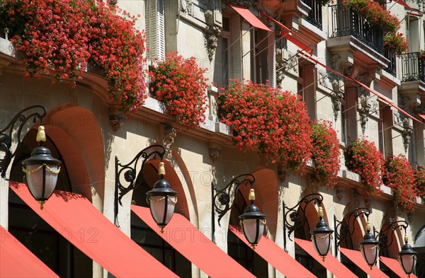 FRANCE, Ile de France, Paris, Red geraniums cascading over the balconies of the five star Plaza Athene hotel in the heart of the haute couture fashion district in Avenue Montaigne
