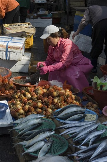 SOUTH KOREA, Yeongnam, Busan, "Seafood vendor at Jagalchi Market, the largest fish market in Korea"