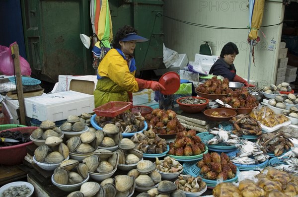 SOUTH KOREA, Yeongnam, Busan, "Seafood vendor at Jagalchi Market, the largest fish market in Korea"