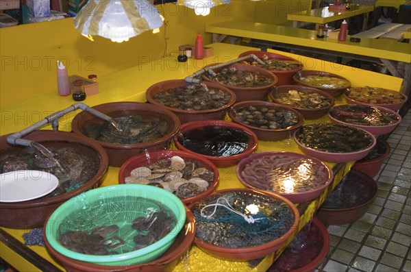 SOUTH KOREA, Yeongnam, Busan, "Shellfish in Shin Dong-A Building, Jagalchi Market"