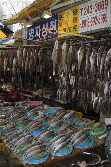 SOUTH KOREA, Yeongnam, Busan, "Seafood vendor at Jagalchi Market, the largest fish market in Korea"