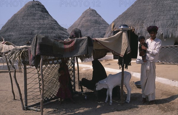 INDIA, Gujarat, Kutch, Family with white calf in shelter made from quilts spread over wooden frame and charpoy on its side with thatched buildings behind in desert village of Tunda Wali-Wadh.