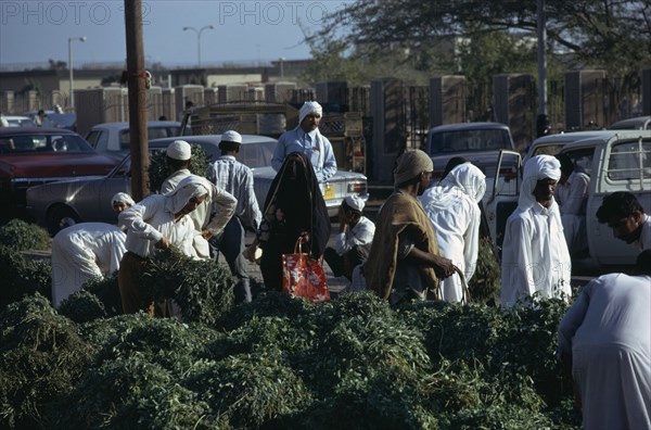 QATAR, Doha, Leaf vegetables for sale at the Souk or market