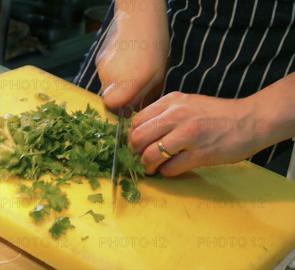 ENGLAND, Bristol, Bristol, Chopping Fresh Corriander