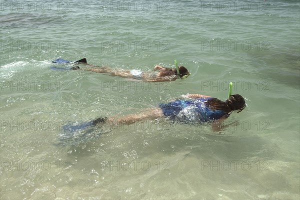 AUSTRALIA, Queensland, Fitzroy Island, Snorkelling on Nudie beach