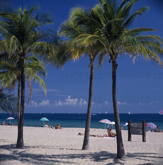 USA, Florida, Fort Lauderdale Beach, Palm trees on sandy beach with sunbathers under sun umbrellas on sand near turquoise sea