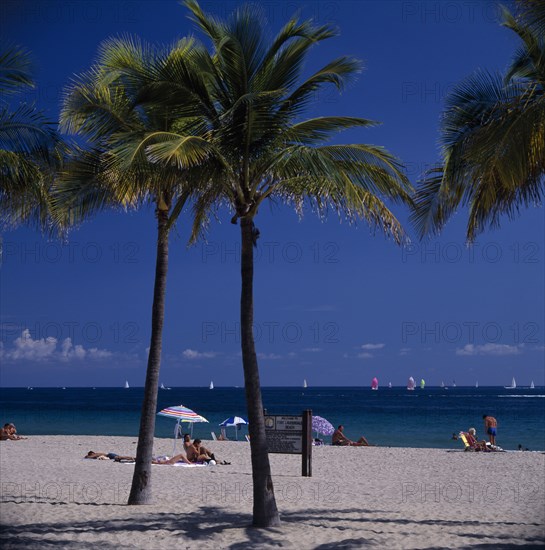 USA, Florida, Fort Lauderdale Beach, Palm trees on sandy beach with sunbathers sitting on sand near turquoise sea and sailing boats seen on water