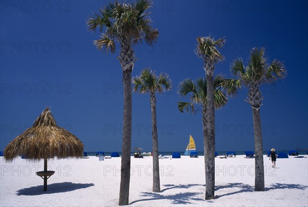 USA, Florida, St Petersburg Beach, Palm trees on sandy beach with blue windbreaks and small tiki hut
