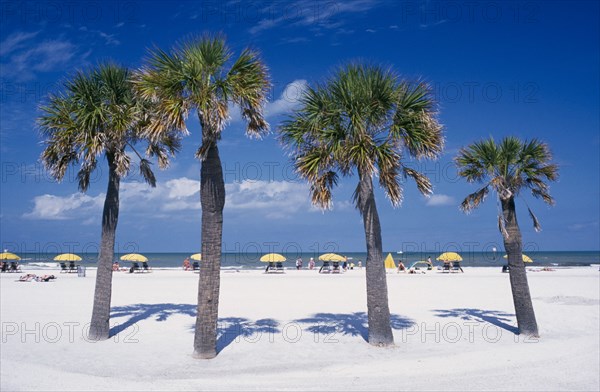 USA, Florida, Clearwater Beach, View through palm trees on sandy beach towards sunbathers on beach chairs with yellow sun shades