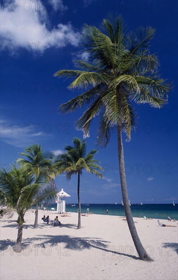 USA, Florida, Fort lauderdale Beach, View across sandy beach with lifeguard station seen through palm trees towards sunbathers on sand and turquoise sea