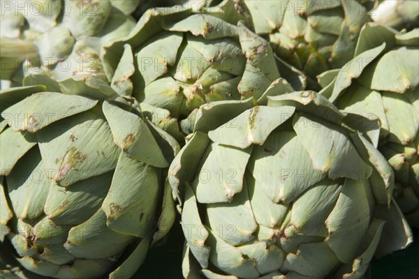 ENGLAND, West Sussex, Shoreham-by-Sea, French Market. Detail of artichokes on market stall