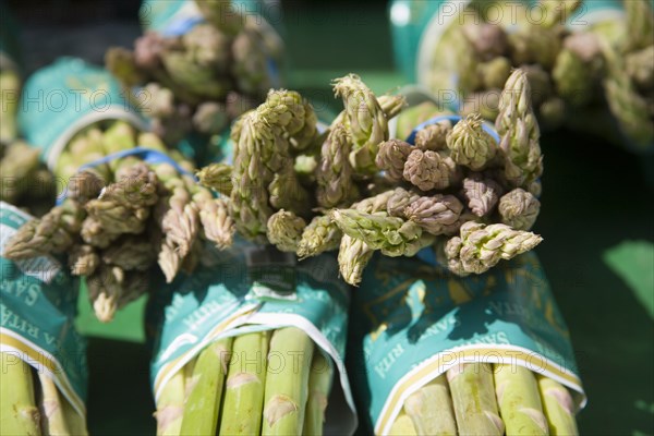ENGLAND, West Sussex, Shoreham-by-Sea, French Market. Detail of bunches of asparagus on market stall