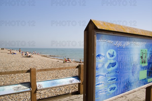 ENGLAND, West Sussex, Worthing, Sunbathers on shingle beach with a sign displaying local information on marine life