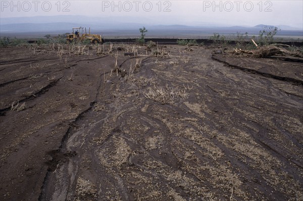 KENYA, Masai Mara, Landscape, Overgrazing on the hillsides has caused massive flooding and removal of the topsoil.