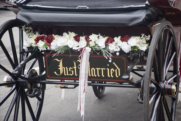 ENGLAND, Dorset, Corfe, Detail of a Just Married sign on the back of a Horse and carriage decorated with flowers