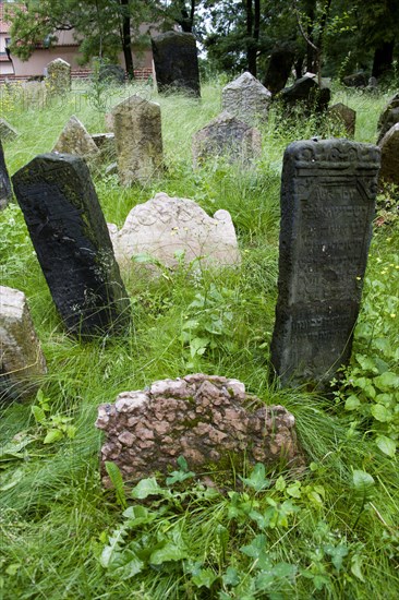 CZECH REPUBLIC, Bohemia, Prague, Jewish Quarter. Gravestones in the Jewish Cemetery