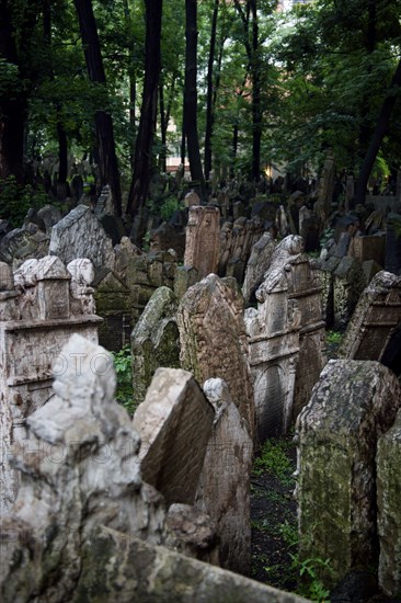 CZECH REPUBLIC, Bohemia, Prague, Jewish Quarter. Gravestones in the Jewish Cemetery