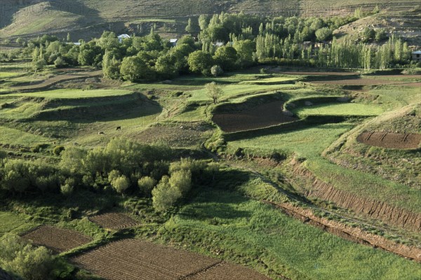 IRAN, Alborz Mountains, Traditional irrigated terraces. Farming