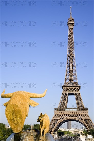 FRANCE, Ile de France, Paris, Gilded bronze water fountain statue of a cow and calf in the Trocadero Gardens with the Eiffel Towe in the diatance