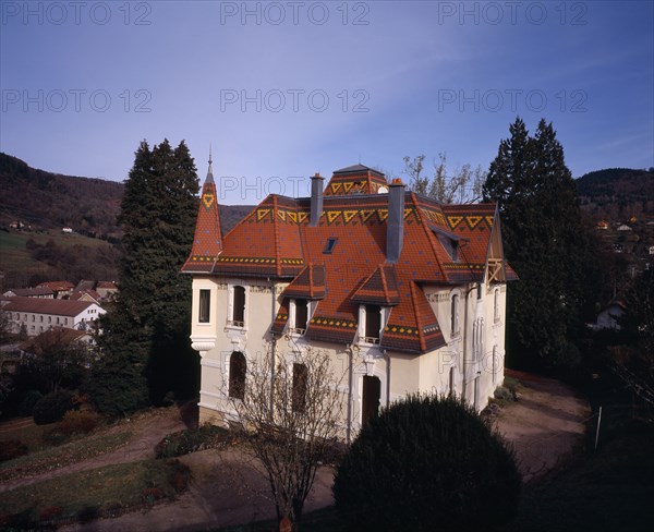 FRANCE, Alsace , Haut Rhin, St Maurice sur Moselle. House with patterned roof
