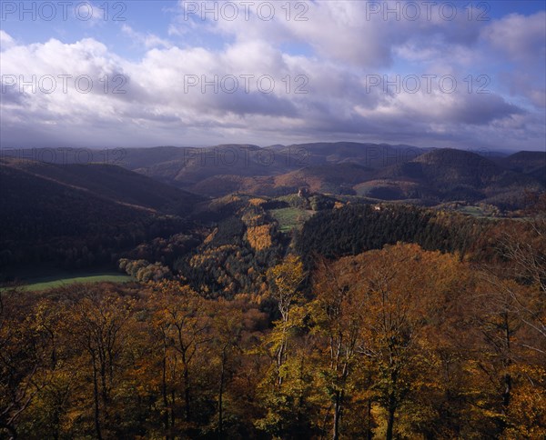 FRANCE, Alsace Lorraine, Lowenstein, Elevated view south from Lowenstein Castle Ruins towards forest area with trees in autumn colours. Close to border with Germany.