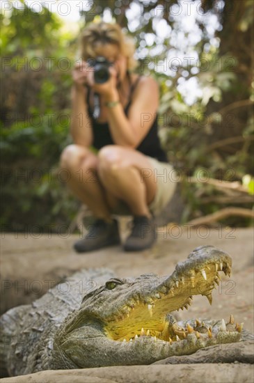 THE GAMBIA, Bakua, "Tourist photographing a crocodile in the Kachikaly Crocodile Pool, a sacred site for local people"