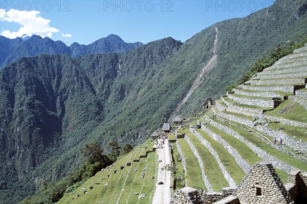 PERU, Cusco Department, Machu Picchu, Terraces on Machu Picchu mountainside