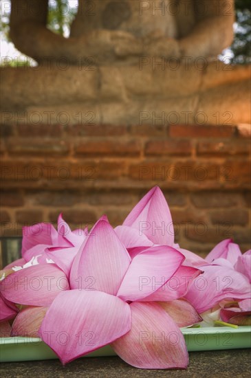 SRI LANKA, Anuradhapura, "Close-up of offerings left at the Samadhi Buddha Statue, regarded as one of the finest Buddha statues in Sri Lanka."