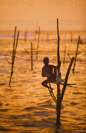 SRI LANKA, Weligama, A lone stilt fisherman at sunset near Weligama.