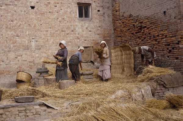 NEPAL, Patan, Women threshing wheat in the street.