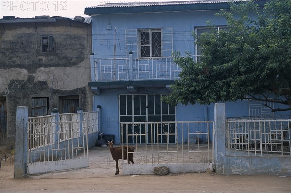 NIGERIA, Kano, "Typical house with blue painted exterior, white metal balcony and courtyard with goat standing in gateway."