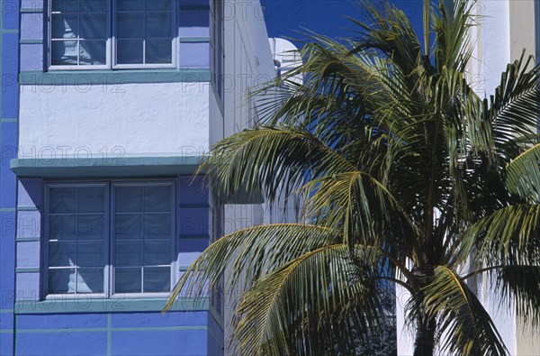 USA, Florida, Miami, South Beach. Ocean Drive. Detail of an Art Deco building with a palm tree in the foreground