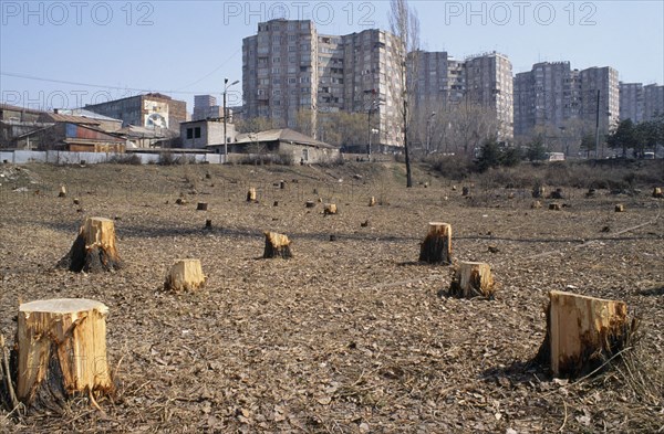 ARMENIA, Yerevan, Outskirts of city with trees chopped down for firewood for heating and cooking.  People had no electricity or gas due to economic blockade of Armenia by Azerbaijan.