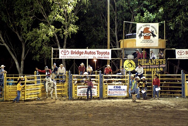 Australia, Northern Territory, Darwin, Darwin Rodeo - the bull and rider set off.