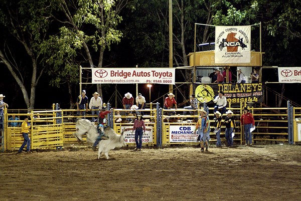 Australia, Northern Territory, Darwin, Darwin Rodeo - the rider and bull fight to the finish - 8 seconds.