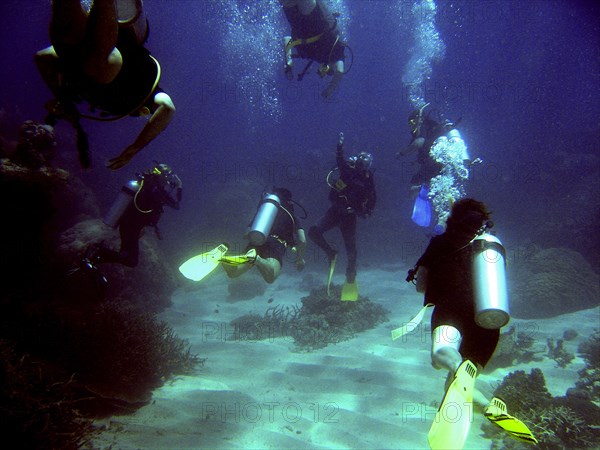 Australia, Queensland, Cairns, "Divers converge on the instructor during dive on Agincourt Reef, outer GBR."