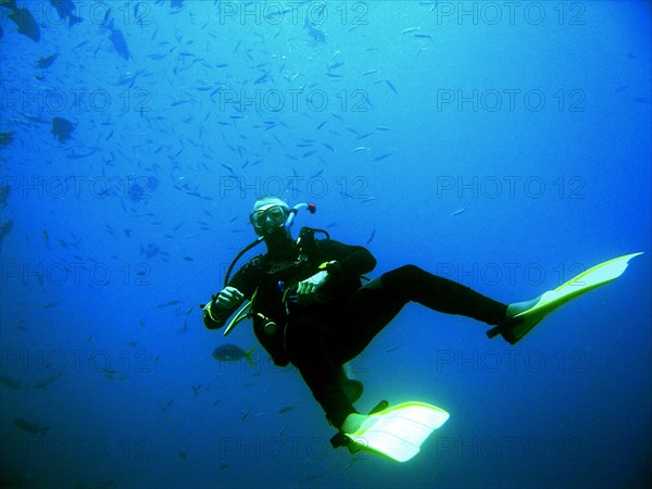 Australia, Queensland, Cairns, Dive instructor - Dive instructor keeping an eye on his flock.